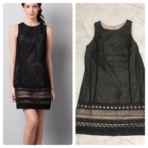LOFT Eyelet/Lace Shift Dress, Size 12